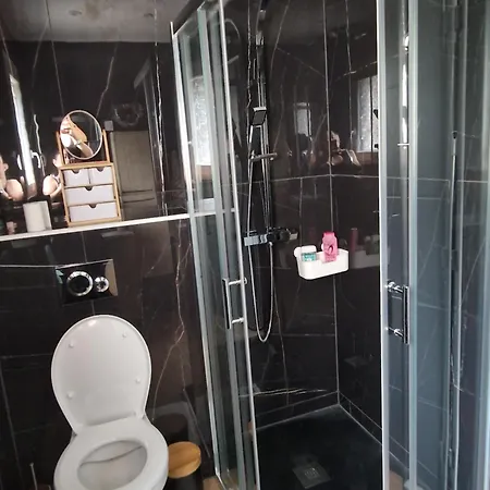 Grande Maison Neuve 8-9 Personnes Climatise * Ludies